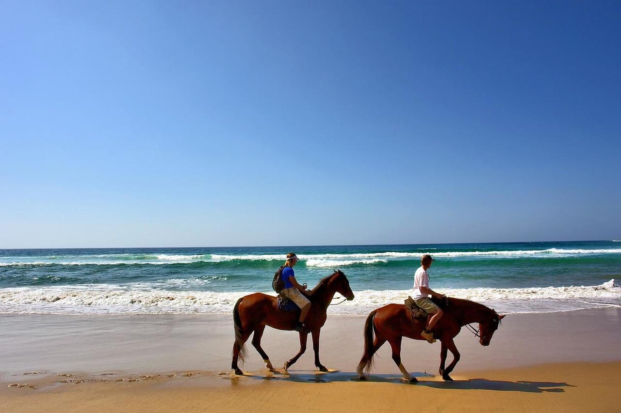 Hotel Oasis & Surf Camp 산타 카탈리나 외부 사진