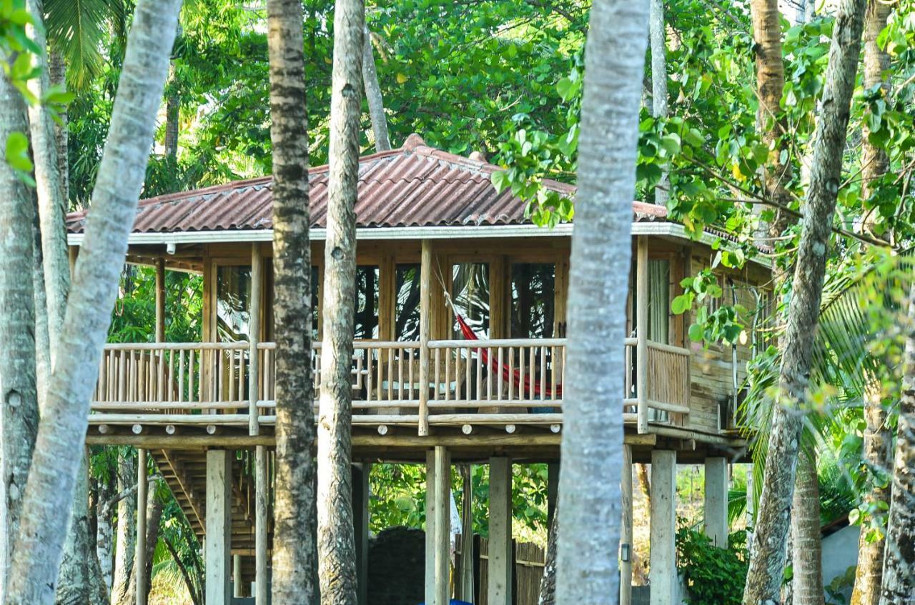 Hotel Oasis & Surf Camp 산타 카탈리나 외부 사진